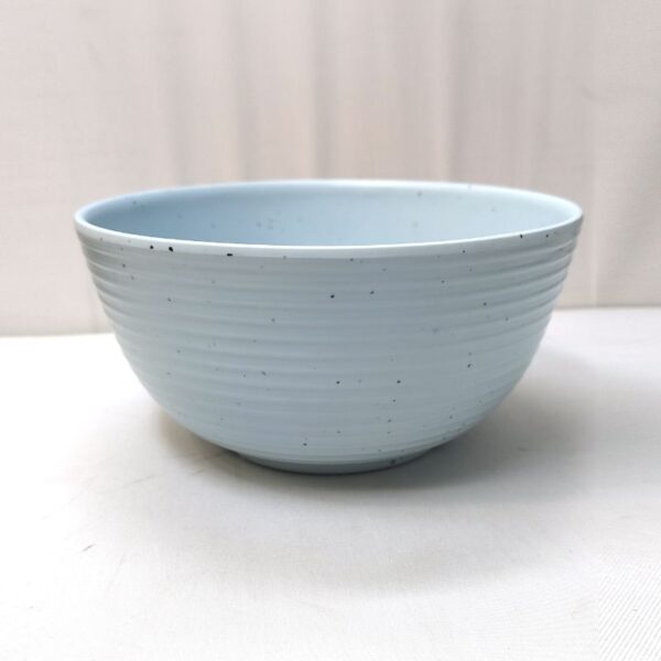 Teal Ring Matt Big Bowl