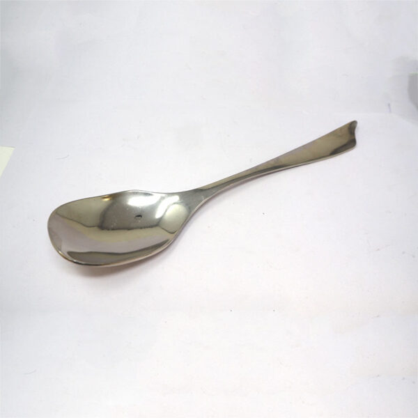 Dinex serving spoon
