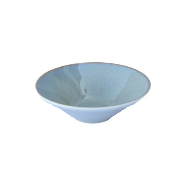 Fine Porcelain Anti-Chip Premium Dinnerware Crockery Single Portion Serving Bowl 6.5 Inch for Restaurant, Hotel, and Café hospitality