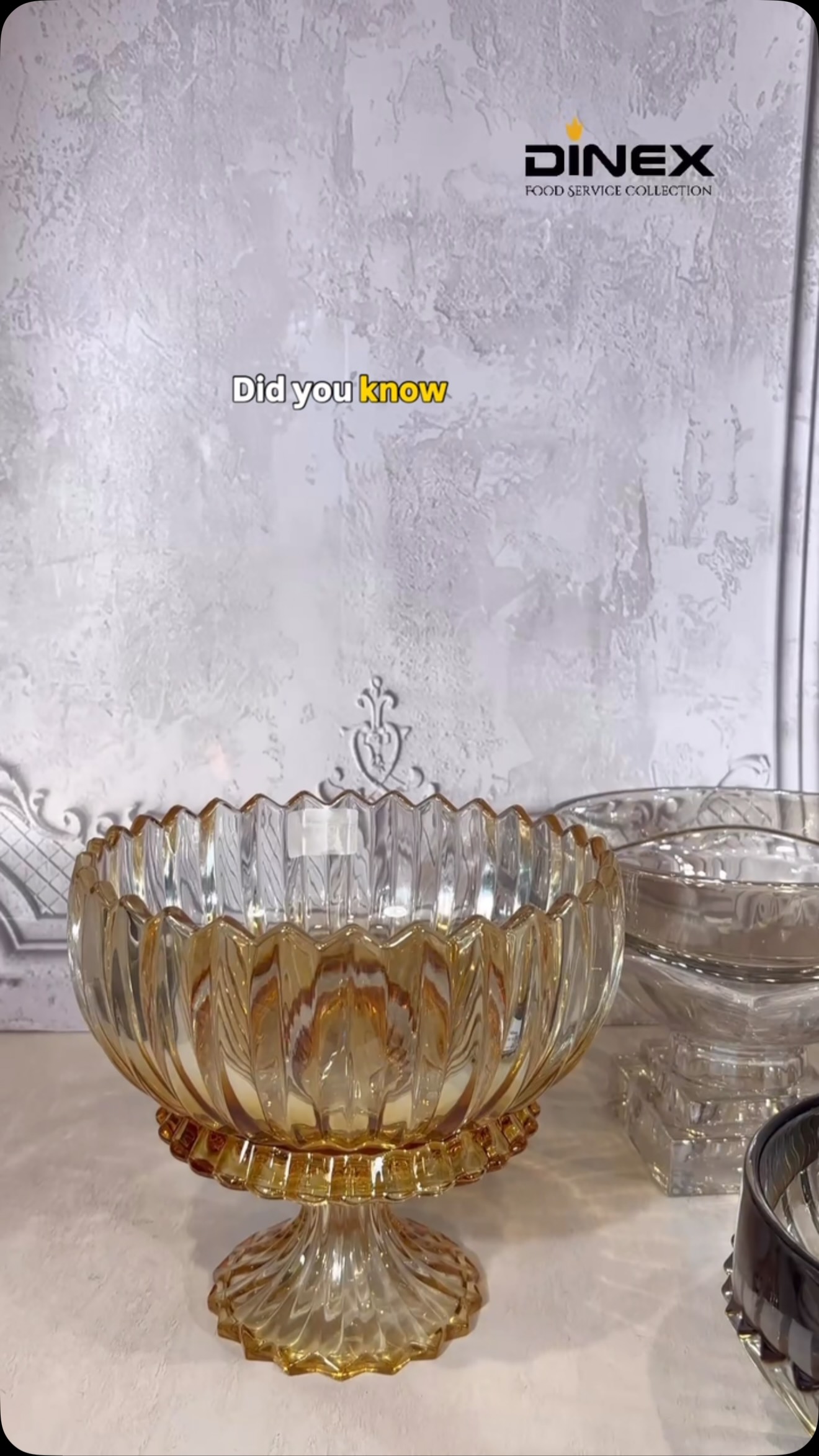Festive season calls for tables that feel as special as the celebration. ✨

From elegant dining setups to busy HoReCa spaces, the right glassware adds that finishing touch—bringing your festive table to life with style and sophistication.

✨ Explore our glassware collection and elevate your festive setup.

#FestiveSeason #Glassware #HoReCa #Tableware #OrchidDinex

festive table, festive decor, festive dining, glassware collection, horeca, horeca industry, table setting, table styling, hospitality, restaurant tableware, hotel supplies, dining experience, elegant table, premium glassware, glassware design, festive setup, dining decor, restaurant decor, hotel dining, banquet tableware, hospitality supplies, tableware collection, premium tableware, Orchid Dinex, festive hospitality